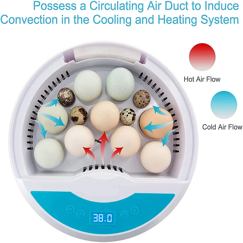 Imagem -05 - Newst Totalmente Automático Levou Temperatura Incubadora de Ovos de Umidade Poutry Brooder Fazenda Chick Codorna Incubadora de Ovos Máquina
