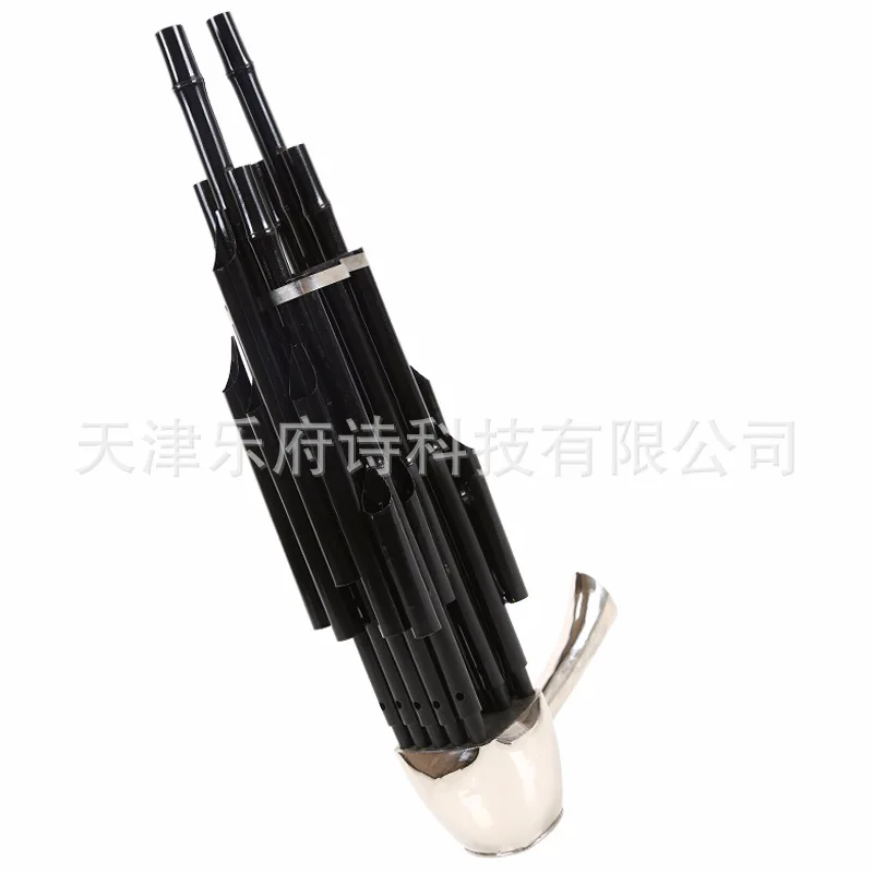 

Sheng reedpipe professional folk musical instrument