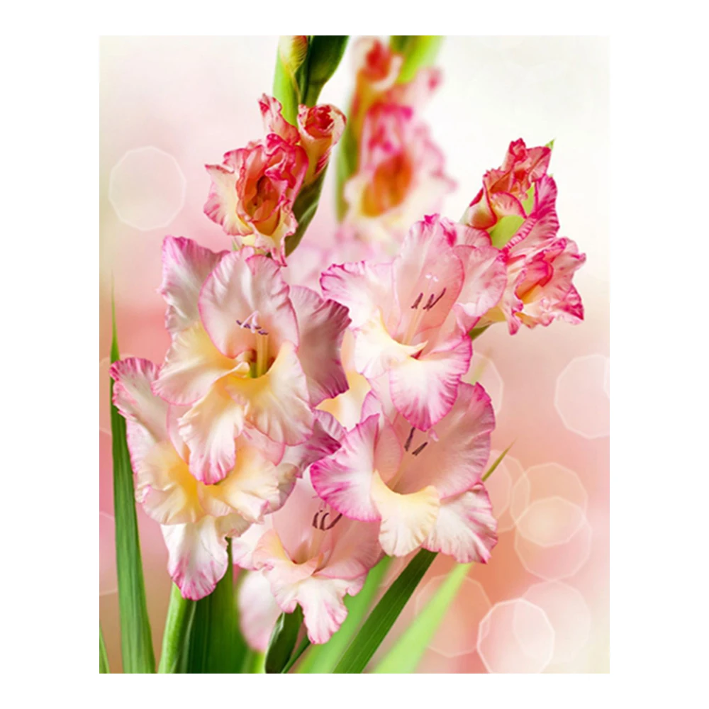 

Diamond Embroidery Flower Diamond Painting Gladiolus Cross Stitch Diy Crystal Mosaic Full Round Rhinestone Home Decor Crafts Art