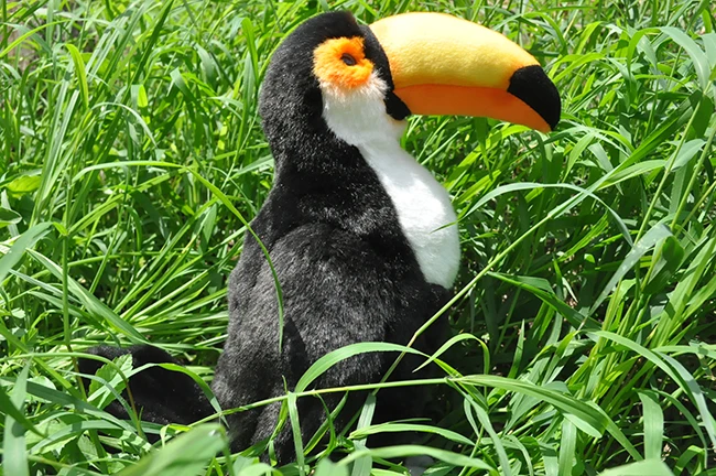 Niedlicher Tukan-Vogel-Plüschtier, ca. 26 cm, Simulation, Tukan, weiche Puppe, Kinderspielzeugauto, Dekoration, Geburtstagsgeschenk, H0695