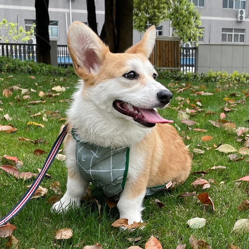 HOOPET abbigliamento per cani protezione per la pancia gilet per gatti abbigliamento estivo per animali domestici impermeabile abbigliamento per