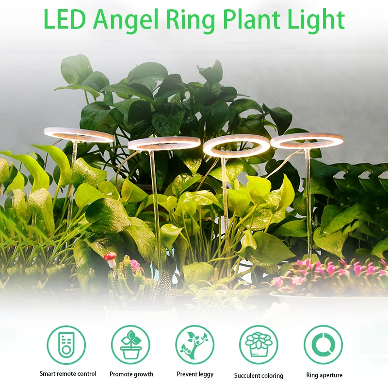 LED Wachsen Licht Voll Spektrum LED Phyto Lampe Wachsen Licht Dimmbare LED Engel Ring Anlage Lampe USB Hydrokultur Blume Samen fitolamp