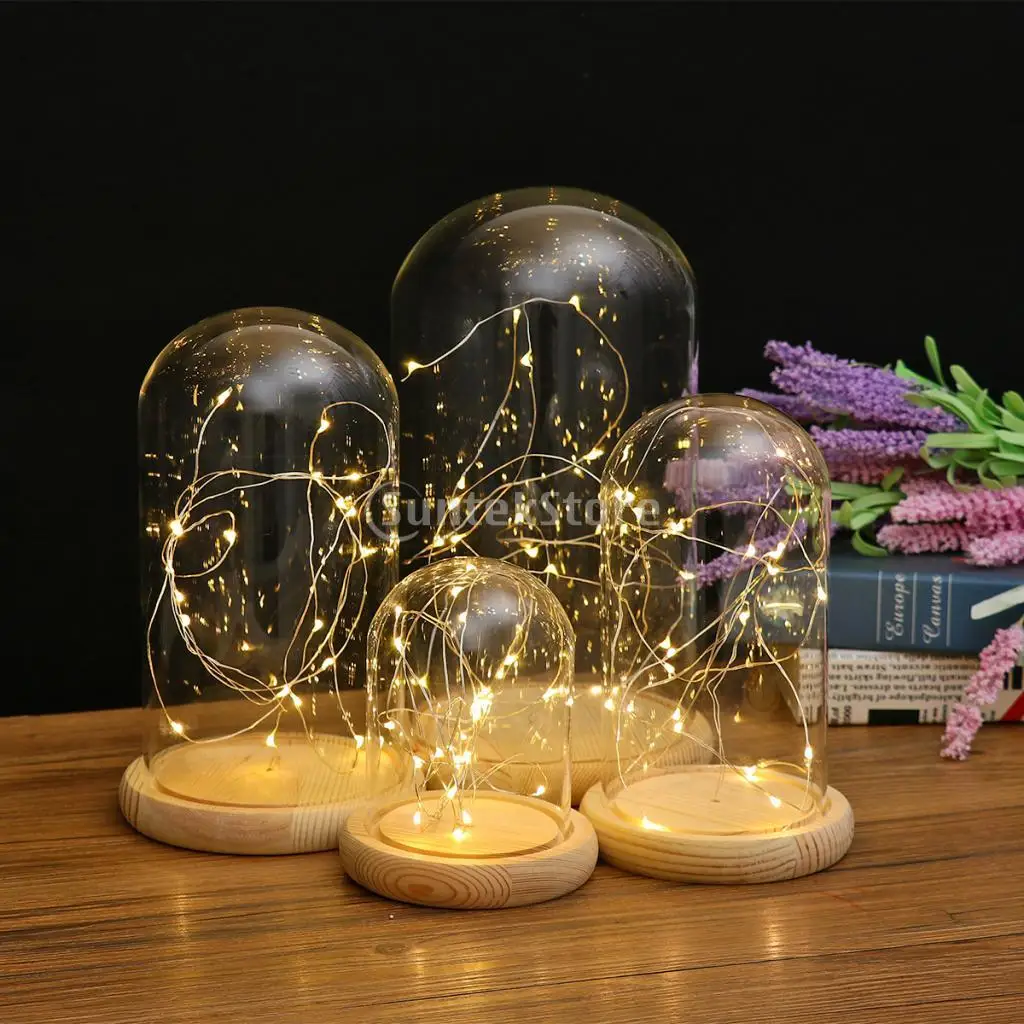 LED Lights Battery Operated Wood Base Clear Glass Cloche Dome Tabletop Decor Plant Flower Vase Container DIY Landscape Miniature