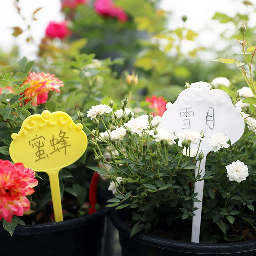 Étiquettes en T imperméables pour plantes, 7x16CM, 10 pièces, Types de fleurs épaisses, 5 couleurs, piquets en plastique, signes réutilisables