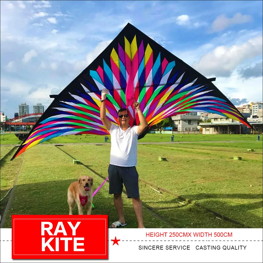 HFLY Ray kite Triangle kite Outdoor fun Big Delta kites single line colorful  flying kites for Adults