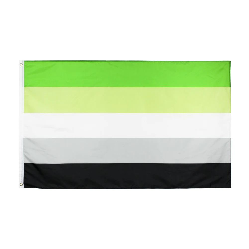 

johnin 90X150cm LGBTQIA Romantic Orientation Aromantic Pride Flag