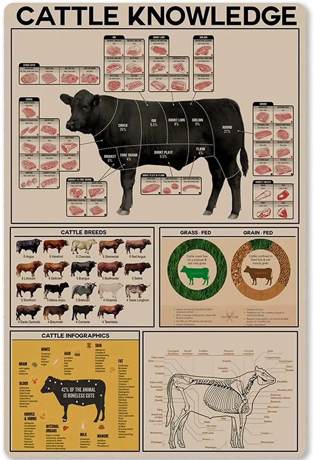 

Cattle Knowledge Metal Tin Sign Cattle Parts Planing Infographic Poster, Retro Club, Farm, Home, Kitchen, Garage Wall Decoration