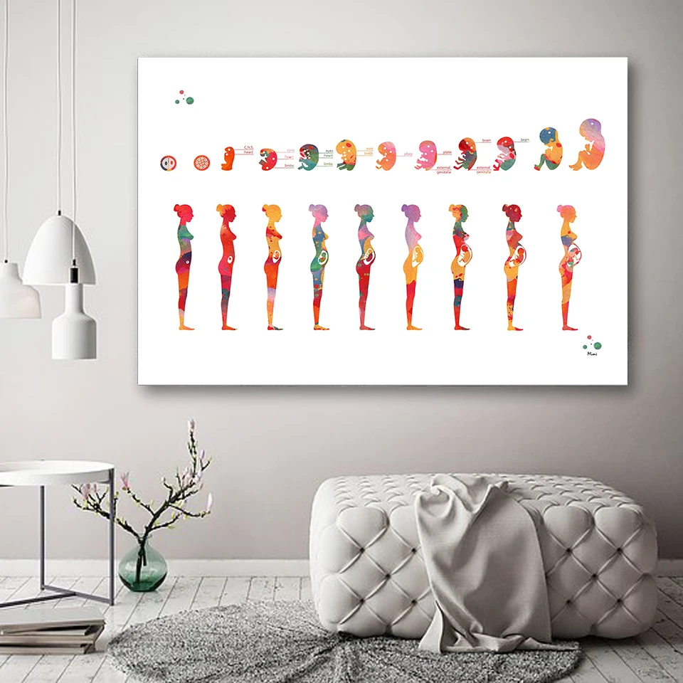 Pregnancy Stage Watercolor Poster Printing Fetal Development Gestational Age Printmaking Obstetrics and Gynecology Decor Art