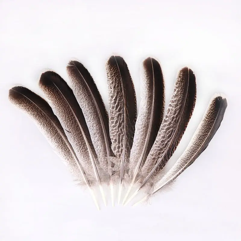 Wholesale Natural Eagle Feathers for Crafts Jewelry Making Discount Wholesale Decoration Carnival Wedding Feathers Plumes Plumas