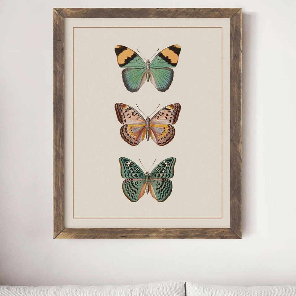 Beige Sepia Modern Victorian Butterfly Vintage Poster Prints Insect Education Wall Art Canvas Painting Picture Kids Room Home De