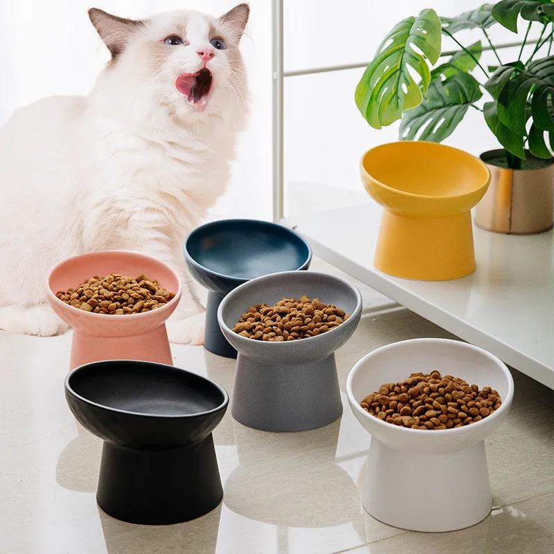 Linda mascota de gato de cerámica tazón de perro boca oblicua alta Bowl para comida para gato de protección de la columna de cara plana de suministros para mascotas