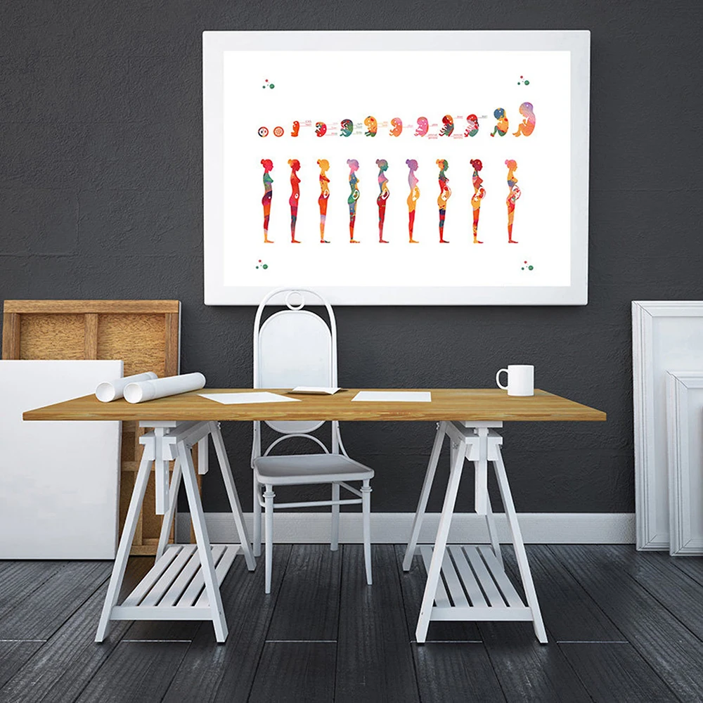 Pregnancy Stage Watercolor Poster Printing Fetal Gestational Age Printmaking Obstetrics and Gynecology Decor Art