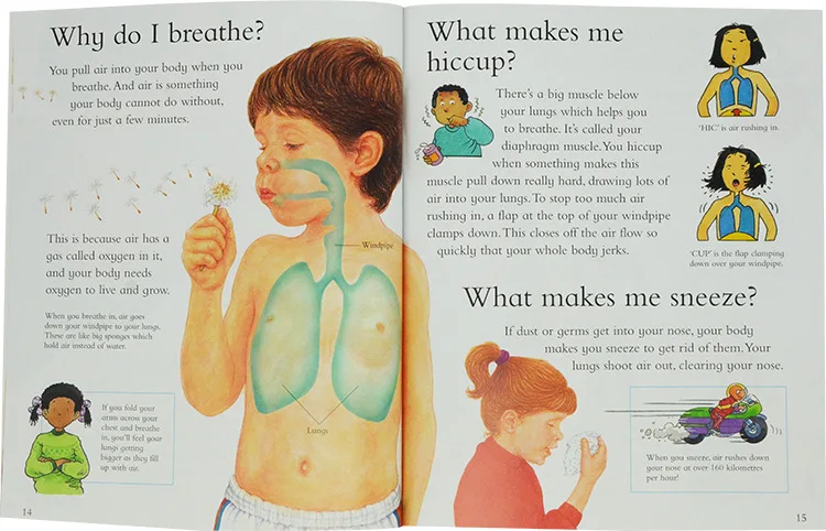 25 Books I Wonder Why Children Encyclopedia Science Book Body Space Animal Bulding Learing English Reading Early Education