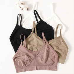 Women Seamless Ribbed Bra Tube Top Push-Up Bralette Ladies Crop Top Sports No Pads Underwear Sexy Lingerie Intimates M-L