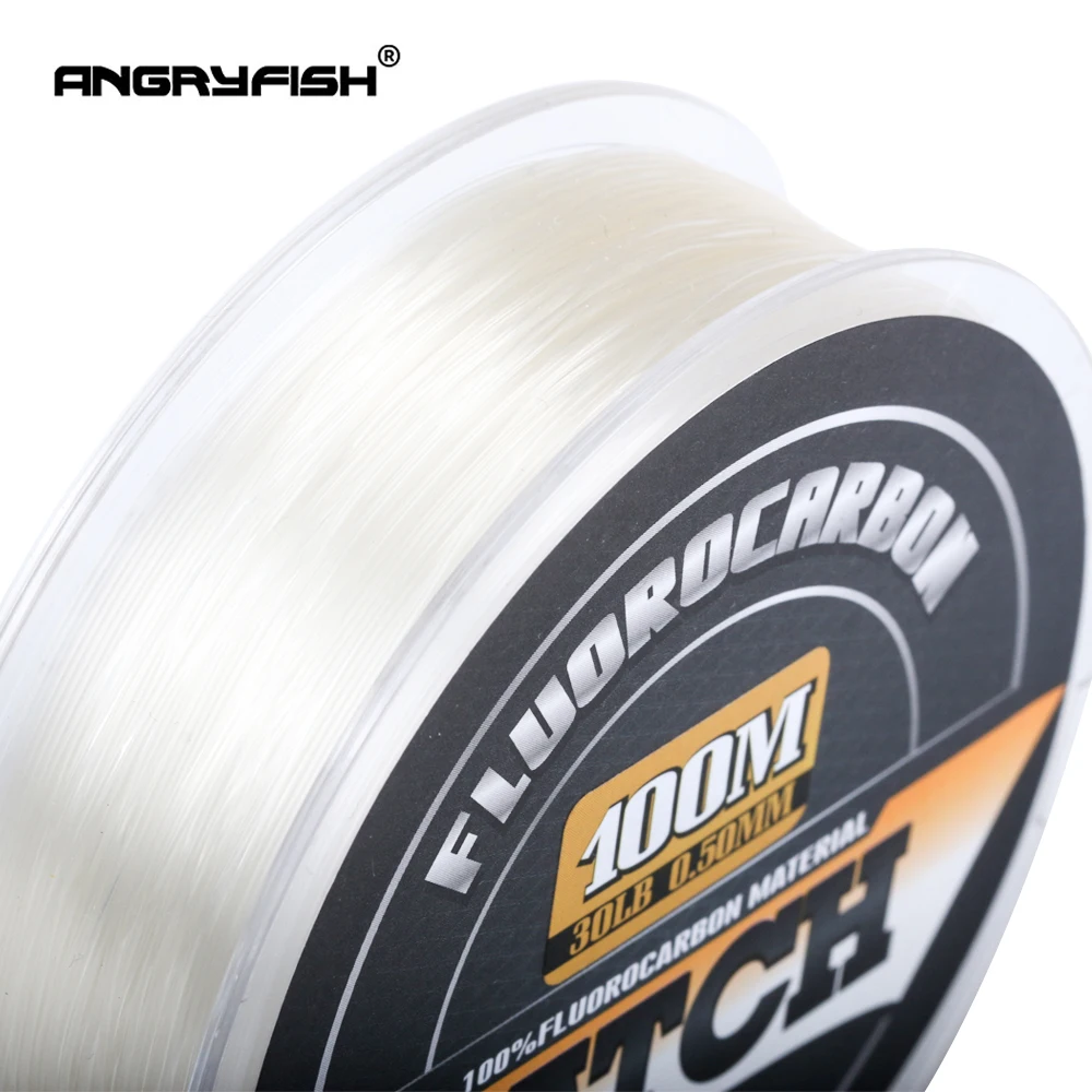 Angryfish 100% Fluorocarbon Fishing Line  100m Transparent Carbon Monofilament Line  Super Strong