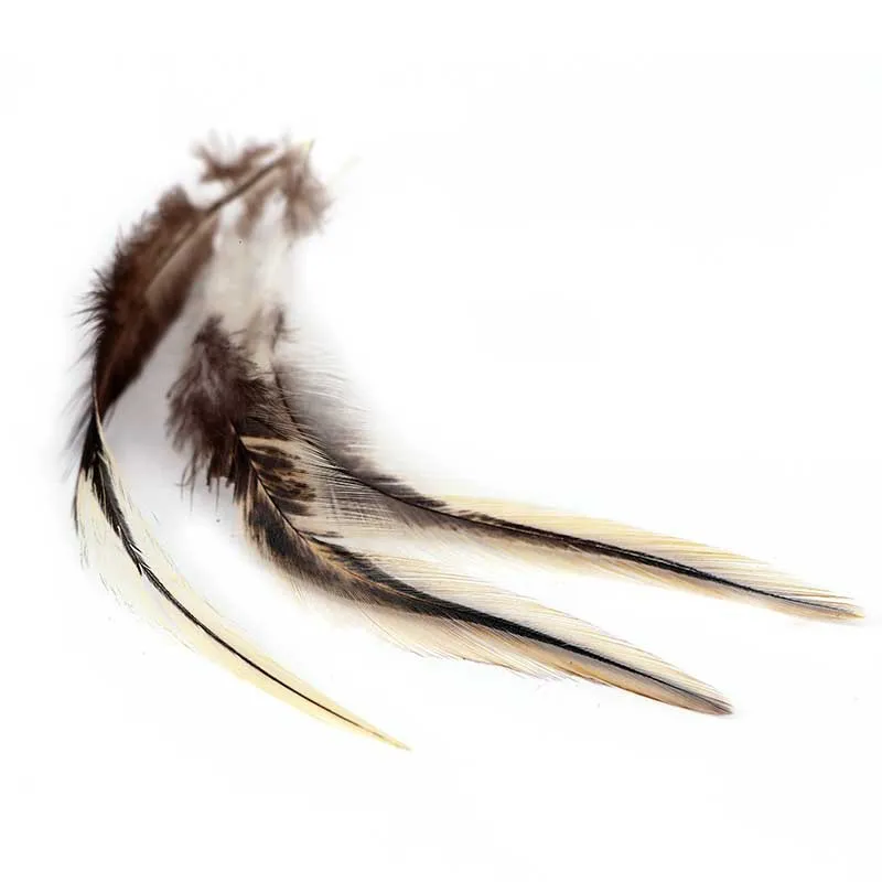 Wholesale 50 Pcs/Lot Chicken Feather 4-6 Inch 10-15cm chicken Feathers DIY  Pheasant Feathers Jewelry Plume decoration Plumes