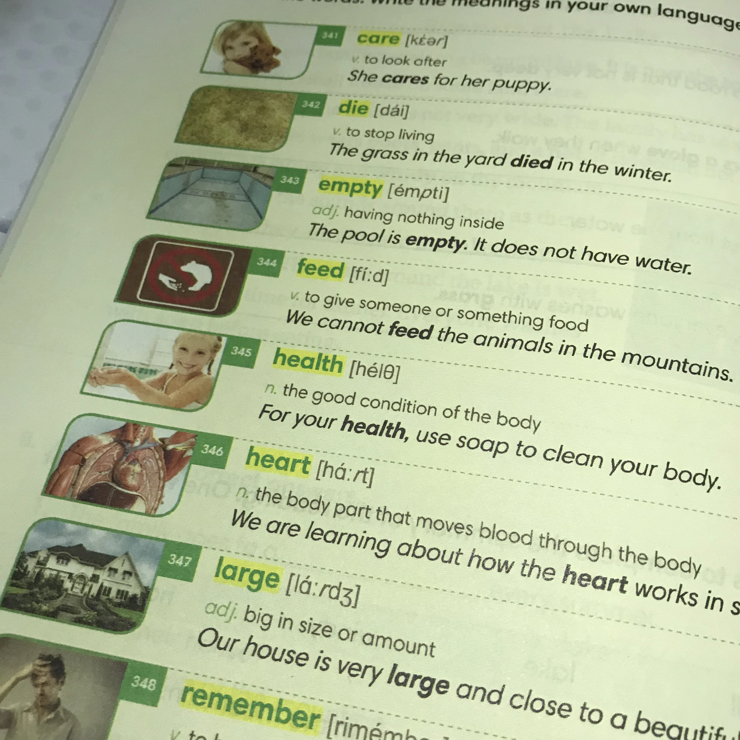 4 كتب/مجموعة 1000 كلمة إنجليزية أساسية المستوى 1-4 قاموس مشترك للمدرسة الابتدائية مصنف الكتب المدرسية