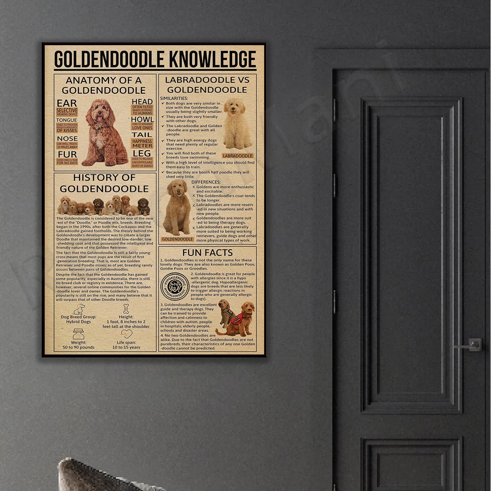 Goldendoodle animal knowledge poster, retro dog poster wall art, gift for animal dog lover