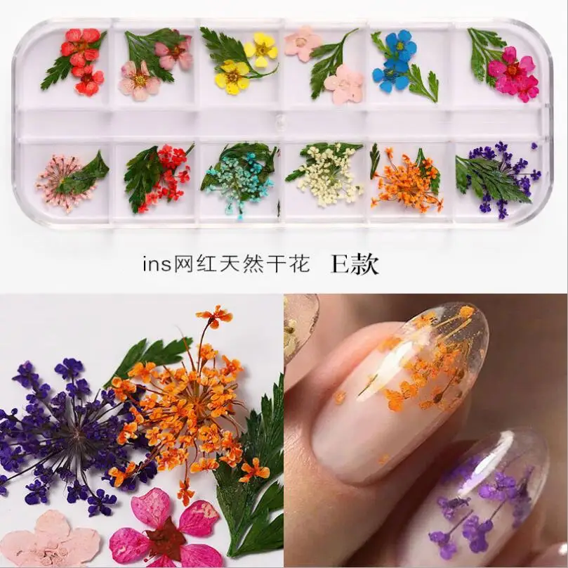 DIY Nail Dried Flower 12 Color Star Sun Flower Small Daisy 12 Color Dried Flower Decoration Nail Dried Flowers T1588