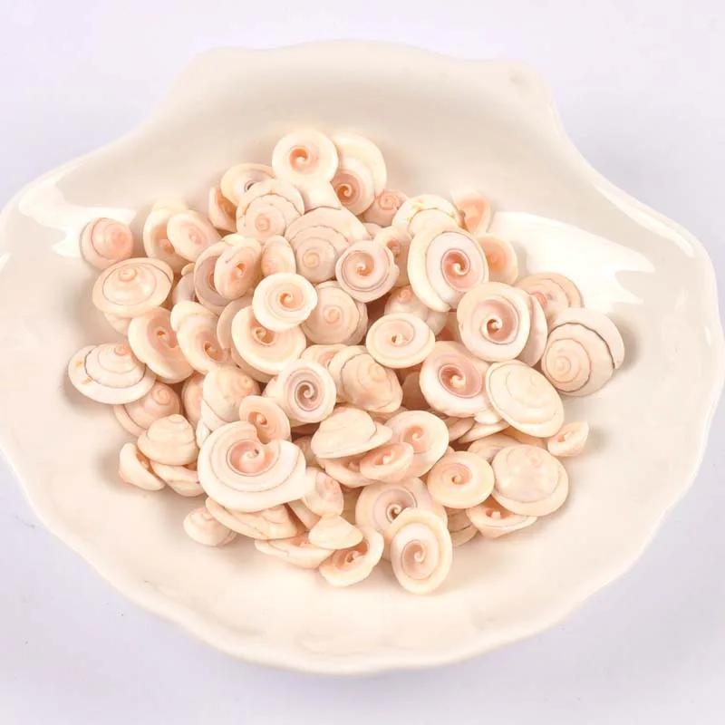 50pcs Natural Shell slicing Beads Nonporous beads for Hand decorated home furnishings and aquarium accessories TRS0418