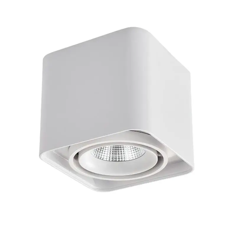 Dimmable LED Downlight Recessed Spot Ceiling Lamp For Indoor Lighting