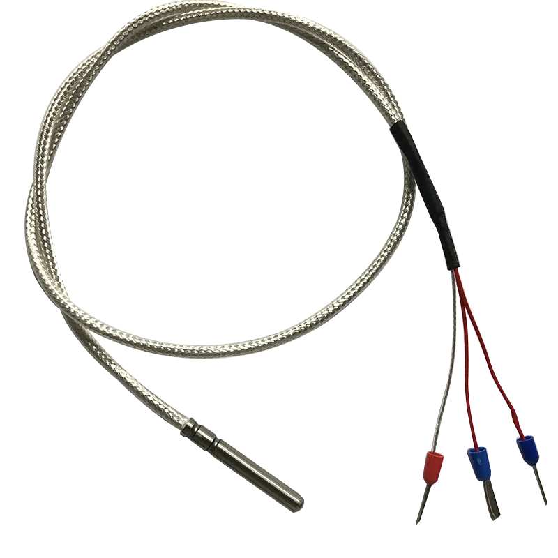 PT100 Platinum Thermal Resistance PT1000 Temperature Sensor Probe Waterproof Thermocouple Thermistor Core