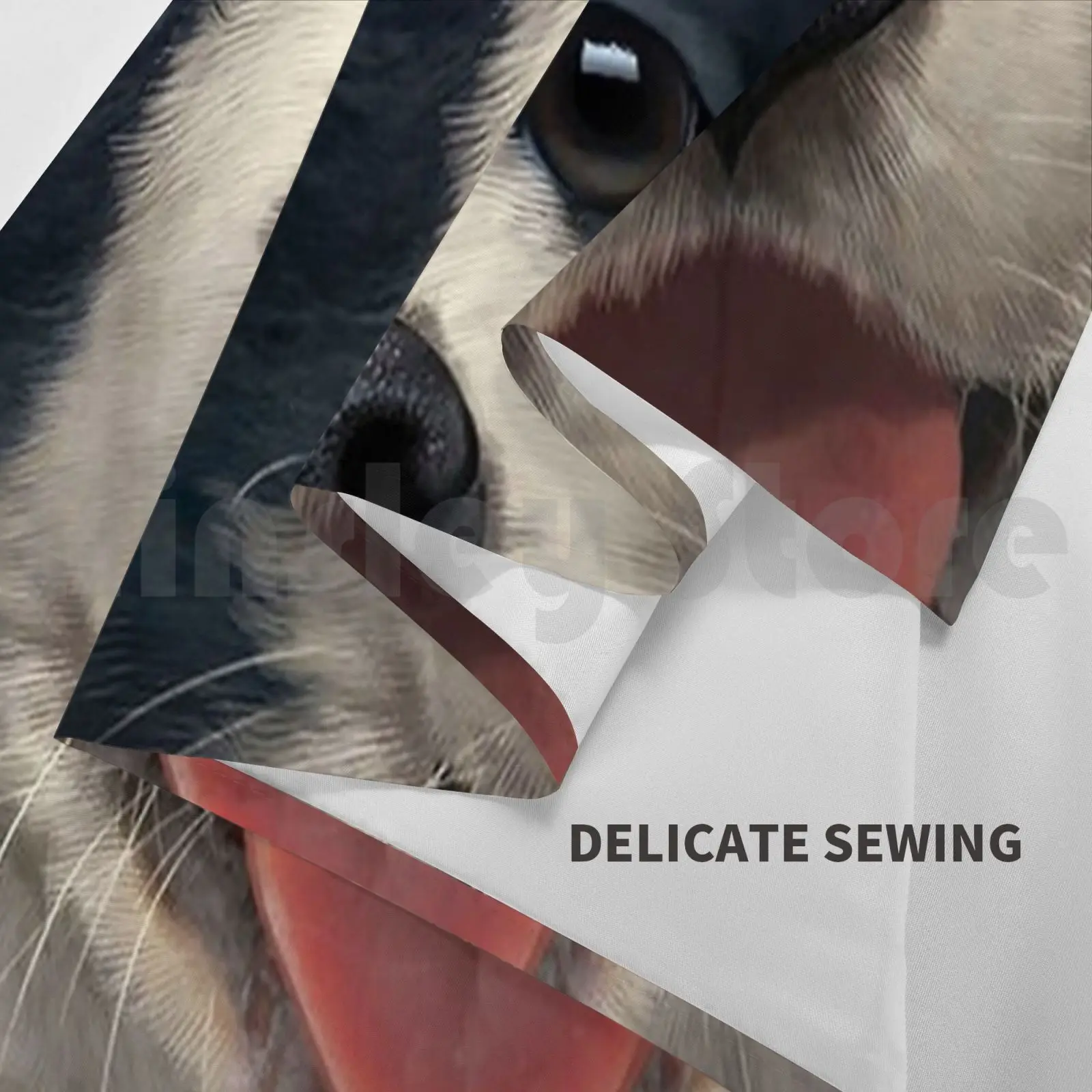 Border Collie Dog Lover 3D نسيج غرفة المعيشة غرفة نوم 39 Border Collie Dog 3D Dog