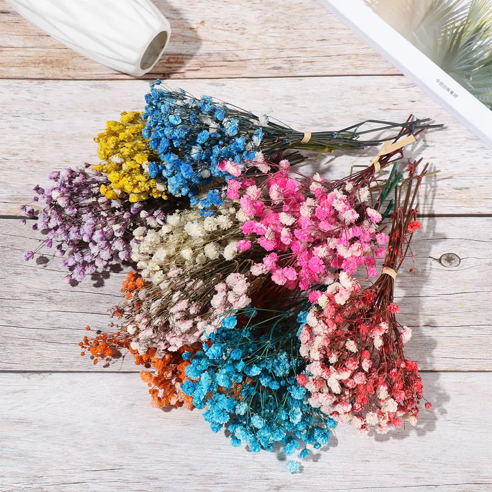 Mini Colorful Natural Real Flower Babysbreath Natural Fresh Dried Preserved Flowers Small Natural Dried Flowers Bouquet Decor