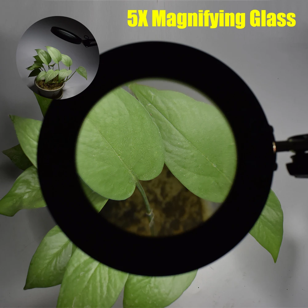 LED Magnifier Reading Lamp 3-color Dimmable 5 Times Magnifying Glass USB Plug Design Fixed Clip Telescopic Arm Can Rotate Lamp