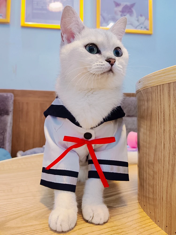 zq Cat Clothes Summer Thin Pet Skirt Muppet Kitten Dog Clothes Pet Clothes