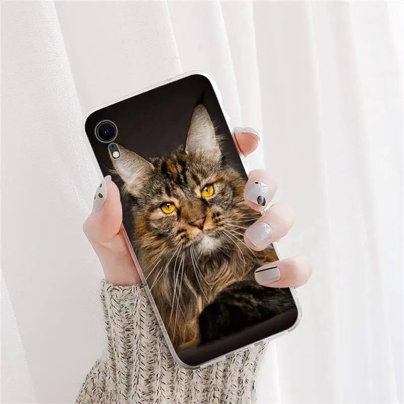 pet maine coon cat Phone Case For DIY iPhone X XS MAX 11 12 13 pro max 6 6s 7 7plus 8 8Plus 5 5S XR SE 2020 case