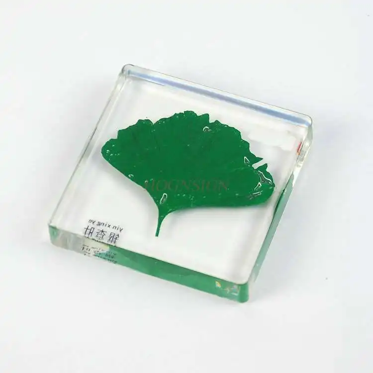 Resin-embedded ginkgo tree leaf solid transparent artificial amber long-term preservation plant needle-shaped specimen