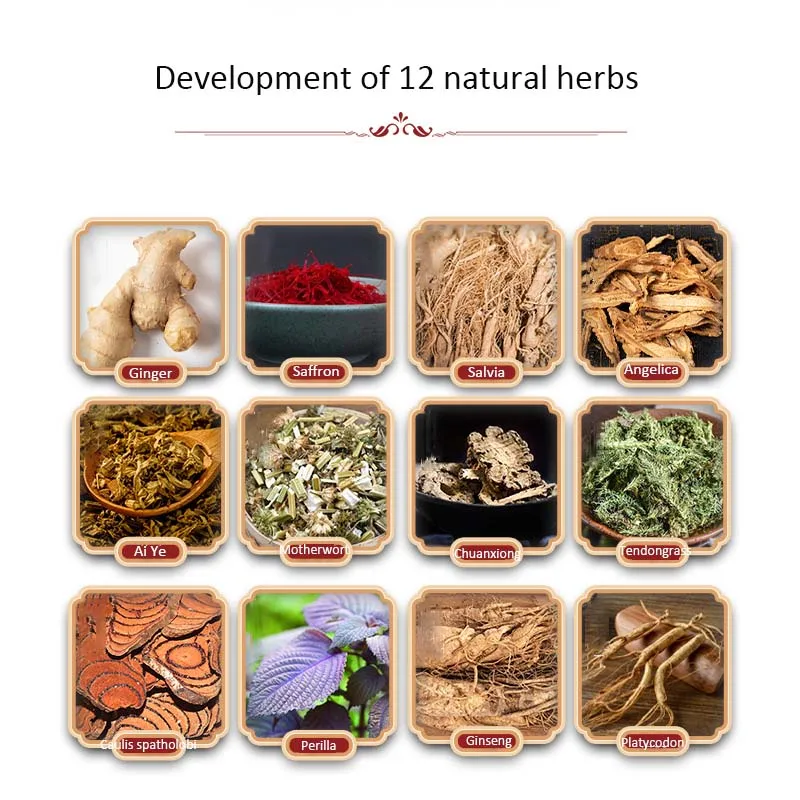 Masajeador de pies para baño, polvo de ajenjo, jengibre, 12 hierbas para remojar los pies, 10x14g