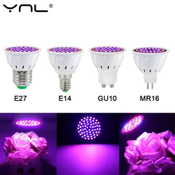 Ampoule LED hydroponique pour la croissance des plantes, lumière phyto, éclairage intérieur, semis de fleurs, 2 pièces, E14 MR16 GU10