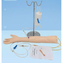 Flebotomia anatomica a grandezza naturale venipuntura pratica Arm pratica di anatomyInjection simulatore medico kit di addestramento per infermiere