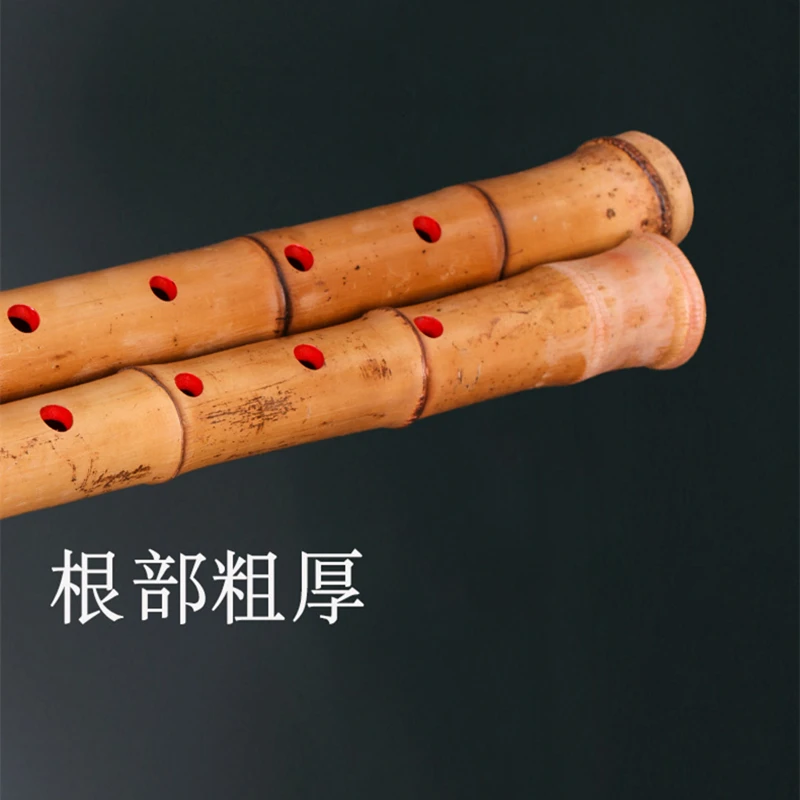 Handmade Natural Castillo Bamboo Root Japanese Shakuhachi Chiba G/ F Key Short Flute Xiao Chinese Traditional Musical Instrument