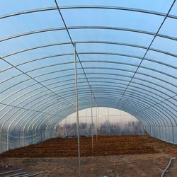 Large outdoor greenhouse, suitable for growing all kinds of large and small plants, vegetables, fruit trees, etc.