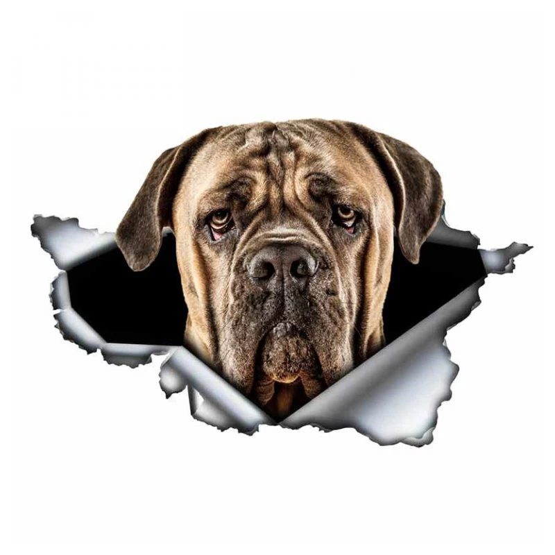 

A0112# 13 cm/17 cm 3D Self-adhesive Decal Black Cane Corso Dog Car Sticker Waterproof Auto Decors on Bumper Rear Window Laptop