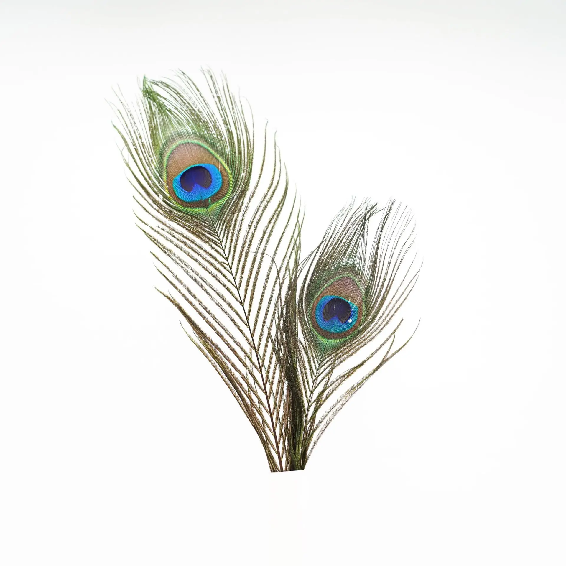 Peacock Feather Decorative Earrings, Headdress Accessories, Dyed Feather, Home Vase, Flower Arrangement, 25-30cm, 10Pcs