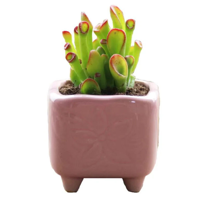 

4pcs/set Crearive Ceramic Flower Vase Bonsai Container Home Garden Decor Succulent Plant Flowerpot Thumb Plant Pot