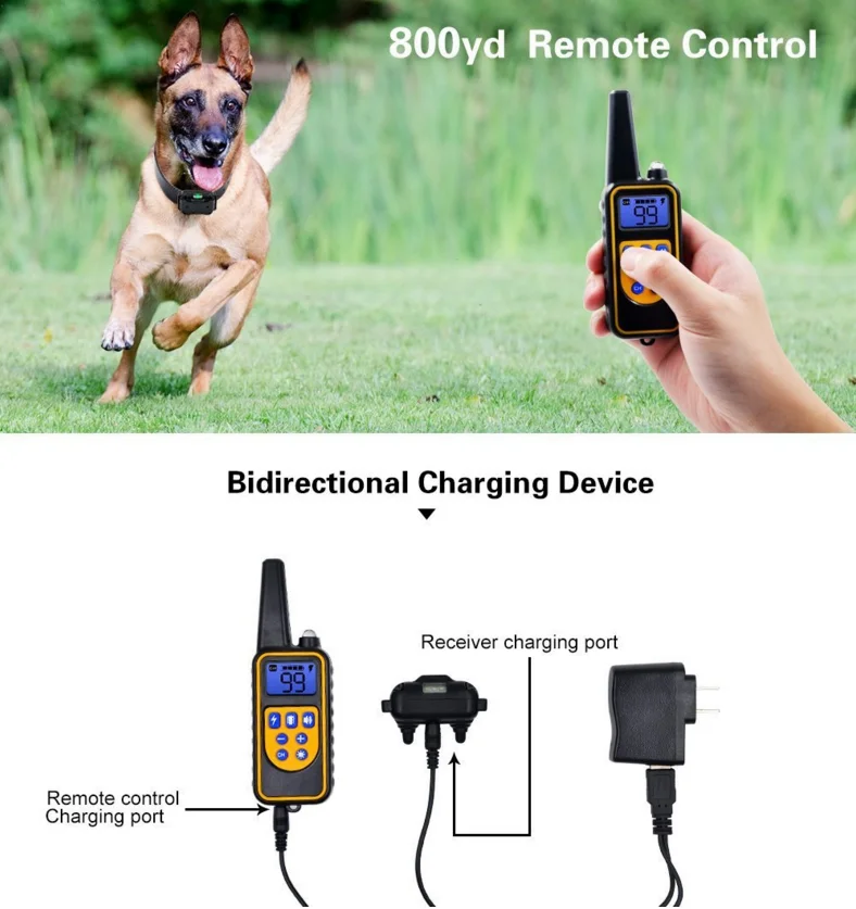 Collier Électrique Anti-Aboiement pour Chien, Étanche, avec Télécommande, Rechargeable, Dispositif de Toutes Tailles