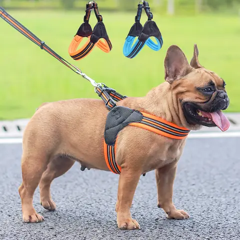 Reflective Pet Harness and Leash Set XLeiPet