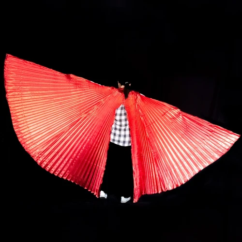 Imagen 2 del producto Alas de danza del vientre para niños y mujeres, accesorio de alas de Isis sin bolsa de palos, disfraz de Bollywood Oriental egipcio para adultos