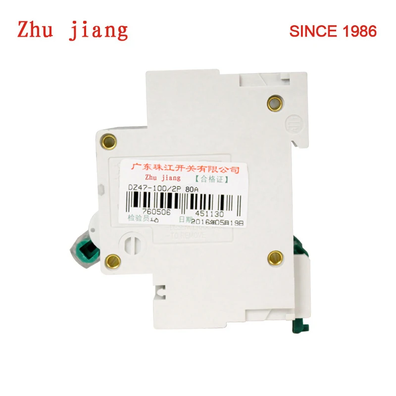 C typ Ls-schalter MCB DZ47-100A 2P