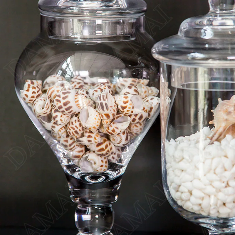 Glass with Lid Storage Jar Tall Feet Candy Jars Shell Conch Organizer Tank European Style Home Decoration Modern Ornaments