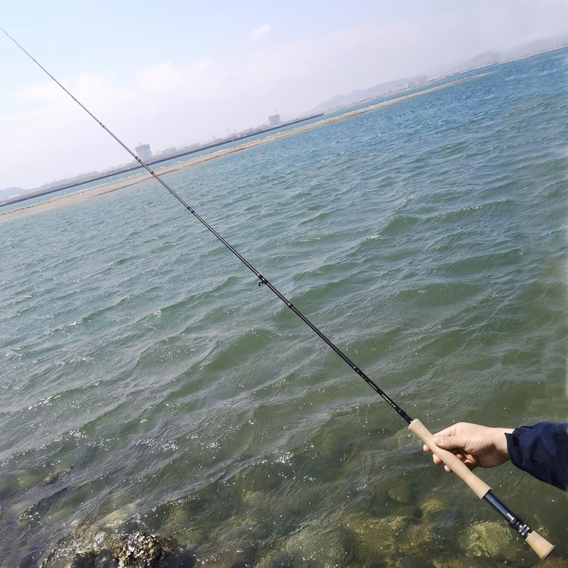 Buluzel 9 Feet 5/6 7/8 Carbon Fly Fishing Rod 2.7m Fly Rod 4 Sections Portable Hard Power Flying Rod Black Super Light Weight