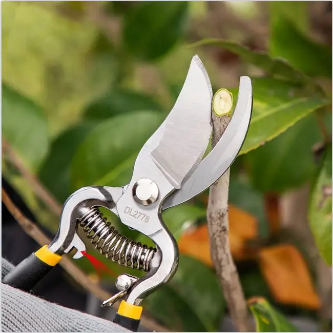 Deli Tools-Tijeras profesionales de podar ramas de árbol, cortadoras de árboles para jardín