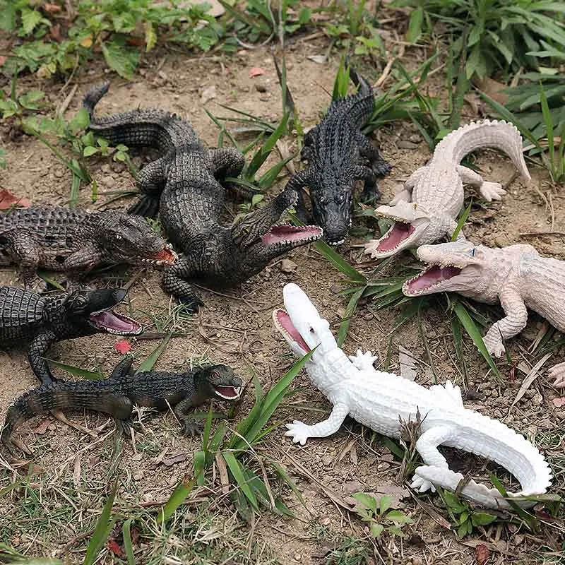 Oenux Wild Animals Action Figures Simulation Sarcosuchus Crocodiles Boar Croc Model PVC Collection Decorate Kids Educational Toy