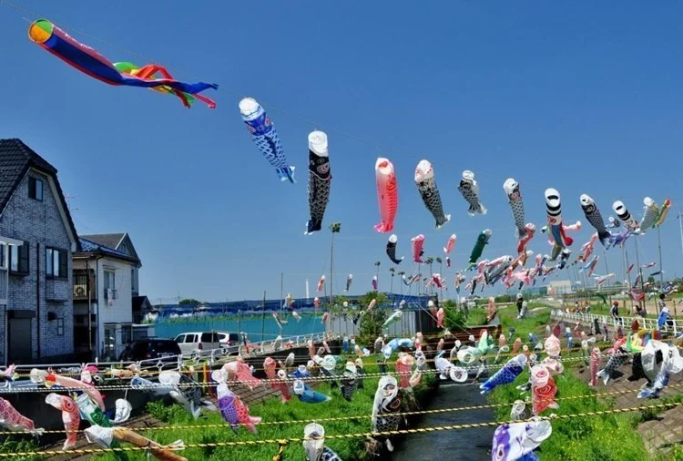Koinobori Karpfen-Kletterfahnen Windsocken Koi Nobori Fisch-Drachen Kinder-Streamer Kinderzelt Konfetti-Flagge – Detail 8