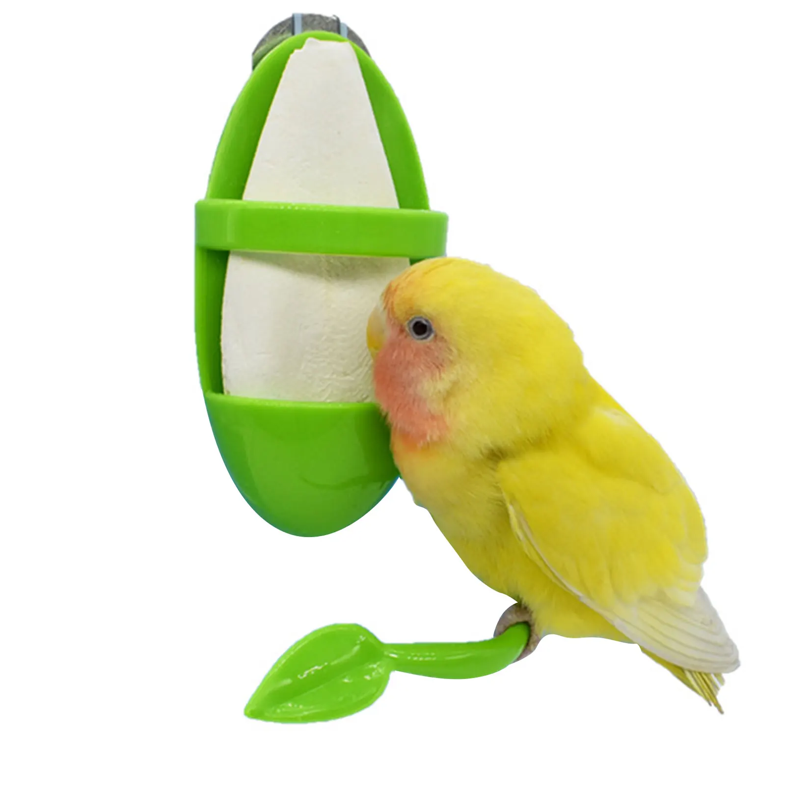 Parrot Feeder With Standing Rack Fruit Holder Plastic Hanging Cuttlefish Bone Container Calcium Supplement Food Box Bird Supplie